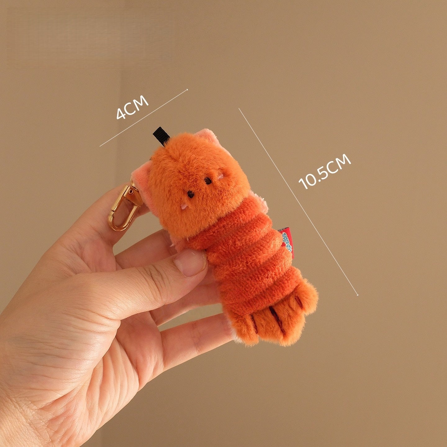 Levida Seafood Collection Mantis Shrimp