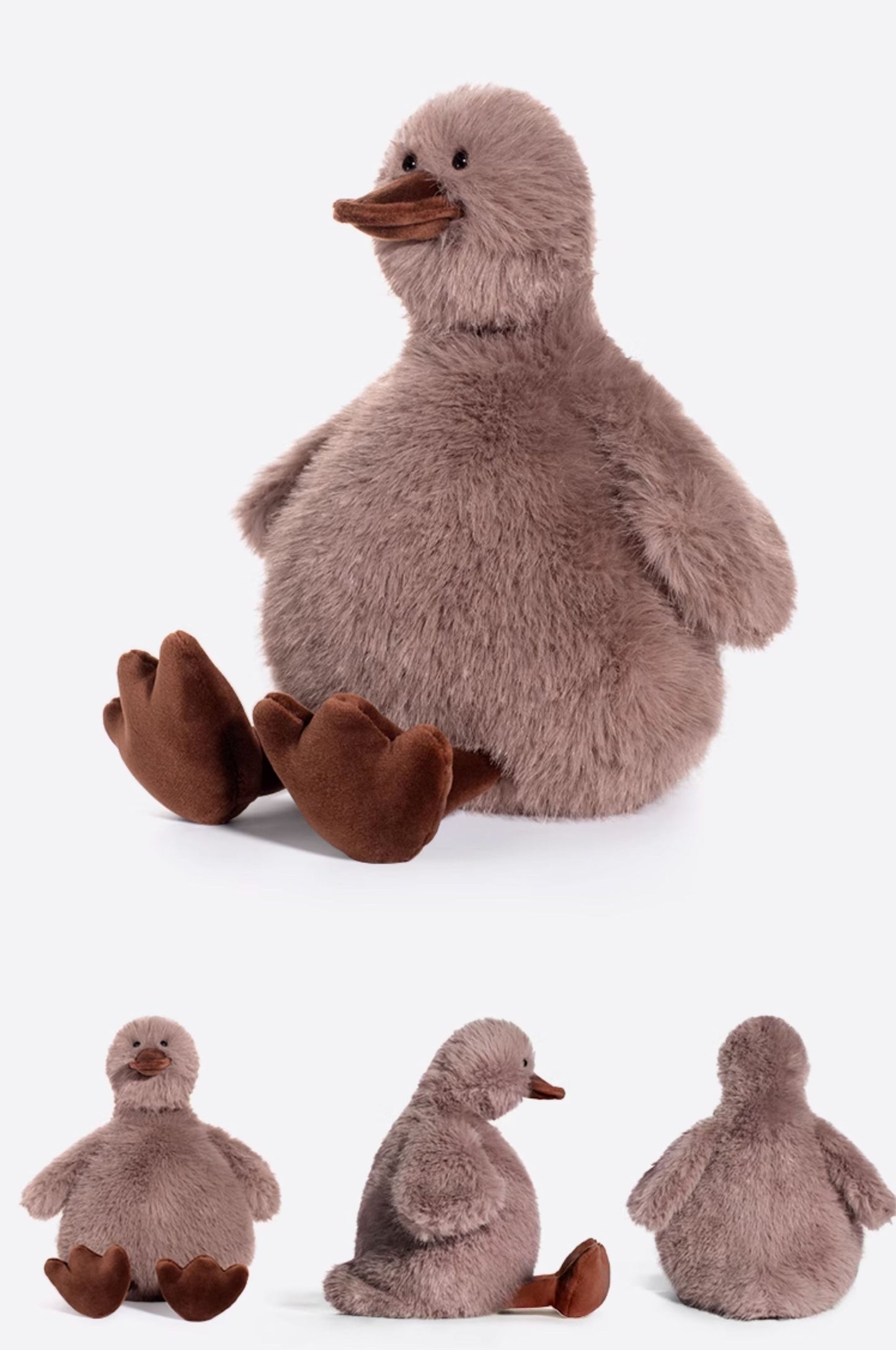 Levida ladom Duck Coffee