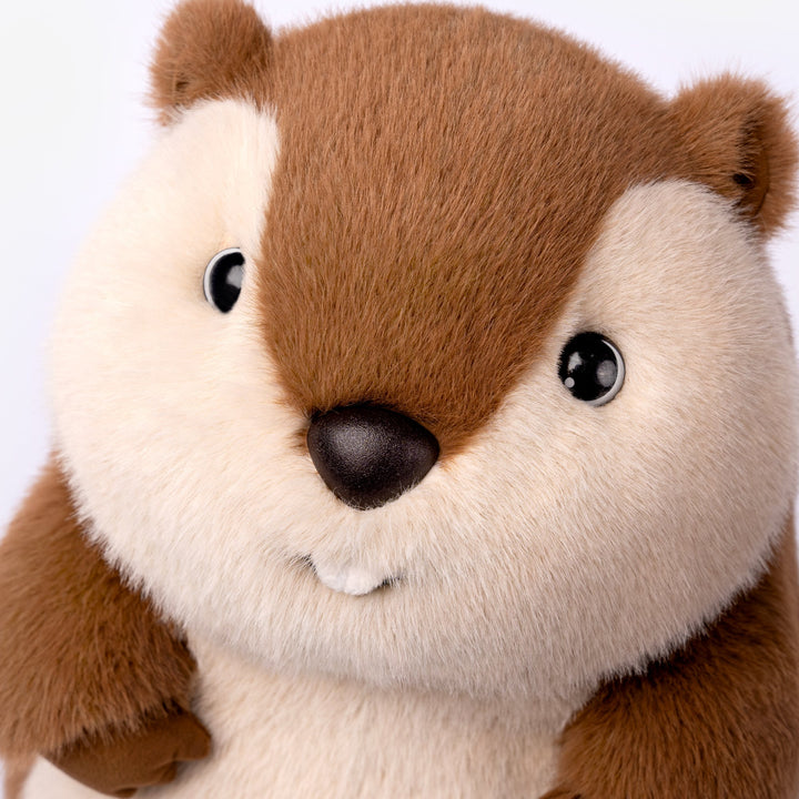 Voyage Prairie Dog