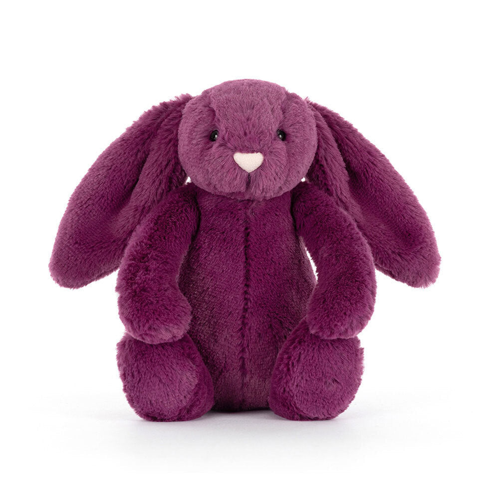 Bashful Allium Bunny